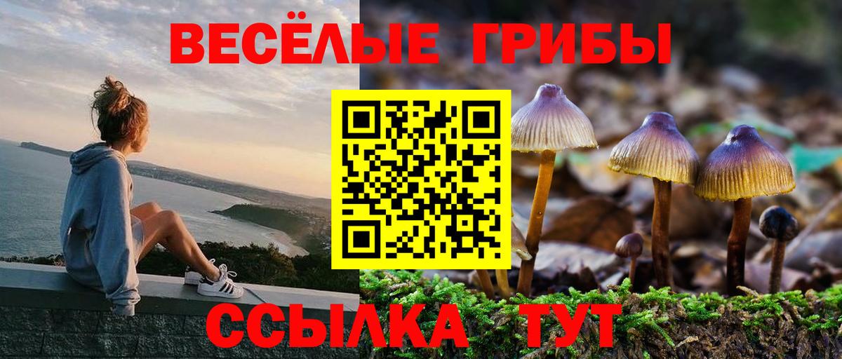 Псилоцибиновые грибы прущие грибы Фурманов