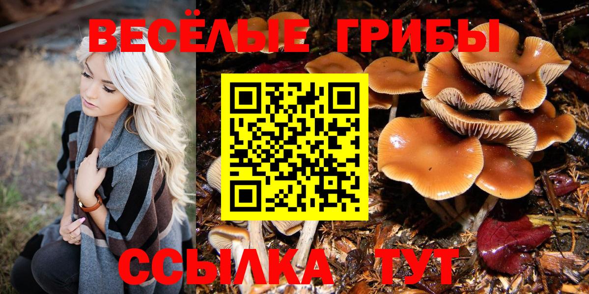 Фурманов  Галлюциногенные грибы GOLDEN TEACHER  Вход с VPN  Галлюциногенные грибы GOLDEN TEACHER 
